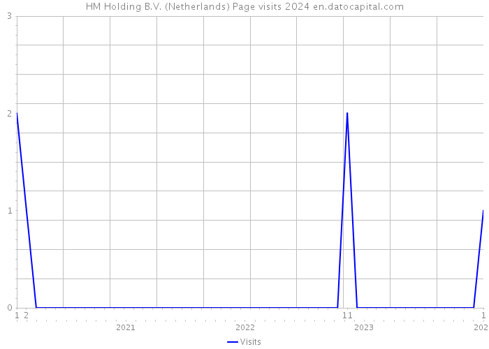 HM Holding B.V. (Netherlands) Page visits 2024 
