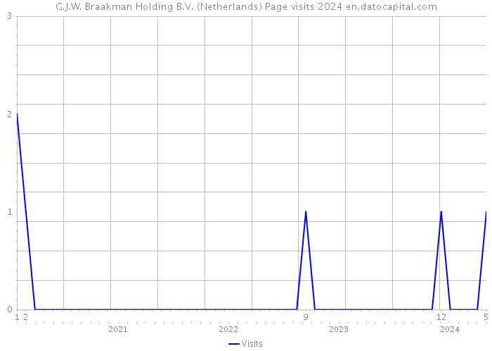 G.J.W. Braakman Holding B.V. (Netherlands) Page visits 2024 