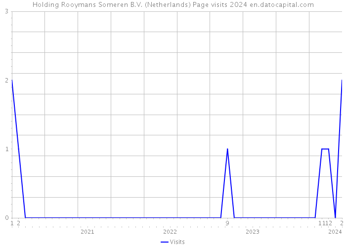 Holding Rooymans Someren B.V. (Netherlands) Page visits 2024 