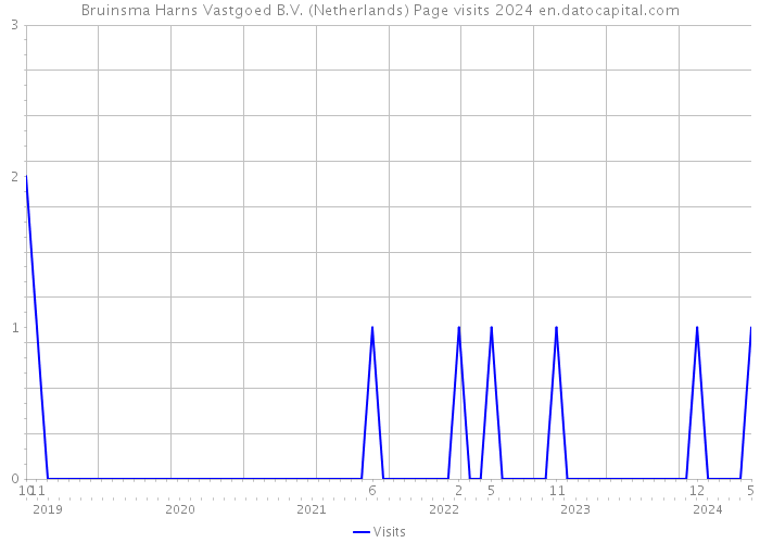 Bruinsma Harns Vastgoed B.V. (Netherlands) Page visits 2024 