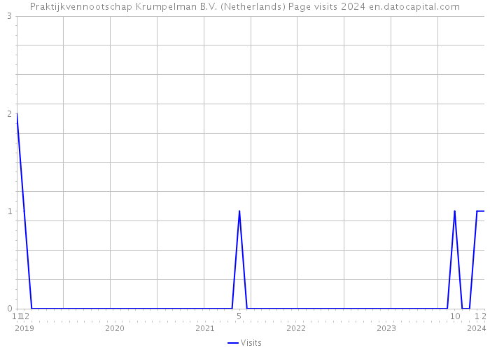 Praktijkvennootschap Krumpelman B.V. (Netherlands) Page visits 2024 