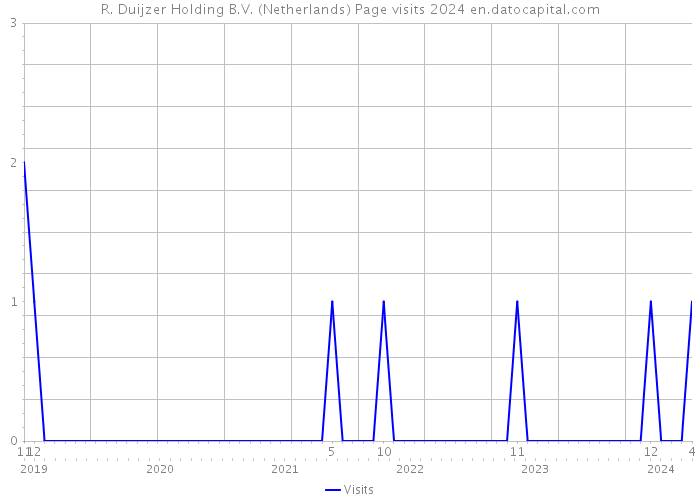 R. Duijzer Holding B.V. (Netherlands) Page visits 2024 