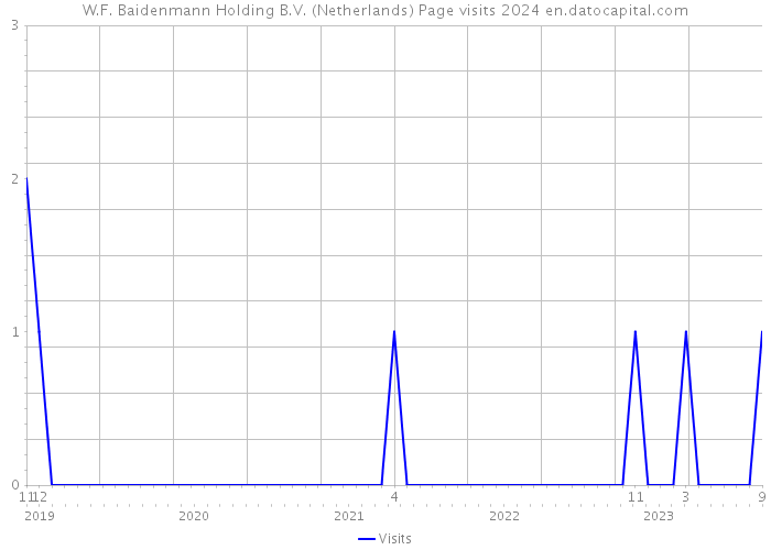 W.F. Baidenmann Holding B.V. (Netherlands) Page visits 2024 