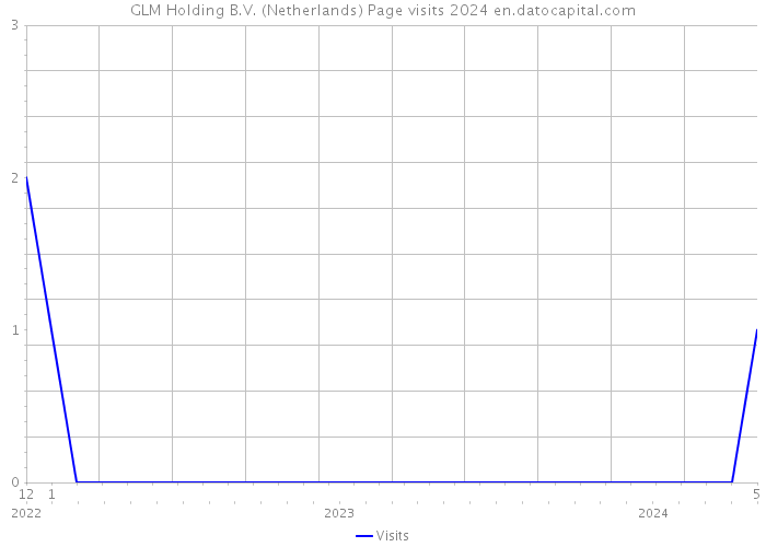 GLM Holding B.V. (Netherlands) Page visits 2024 