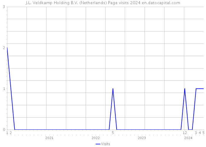 J.L. Veldkamp Holding B.V. (Netherlands) Page visits 2024 