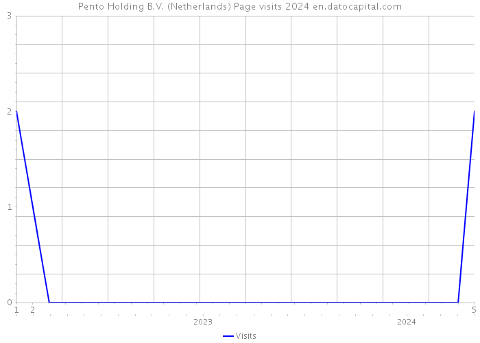Pento Holding B.V. (Netherlands) Page visits 2024 