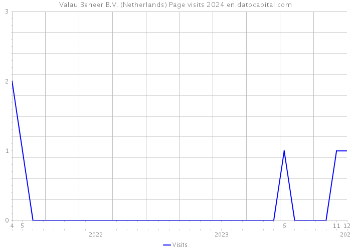 Valau Beheer B.V. (Netherlands) Page visits 2024 
