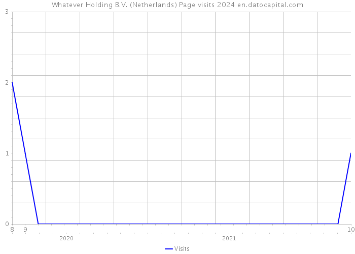 Whatever Holding B.V. (Netherlands) Page visits 2024 