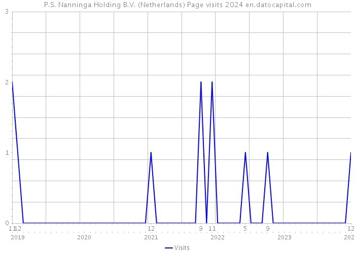 P.S. Nanninga Holding B.V. (Netherlands) Page visits 2024 