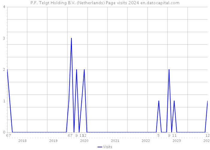 P.F. Telgt Holding B.V. (Netherlands) Page visits 2024 