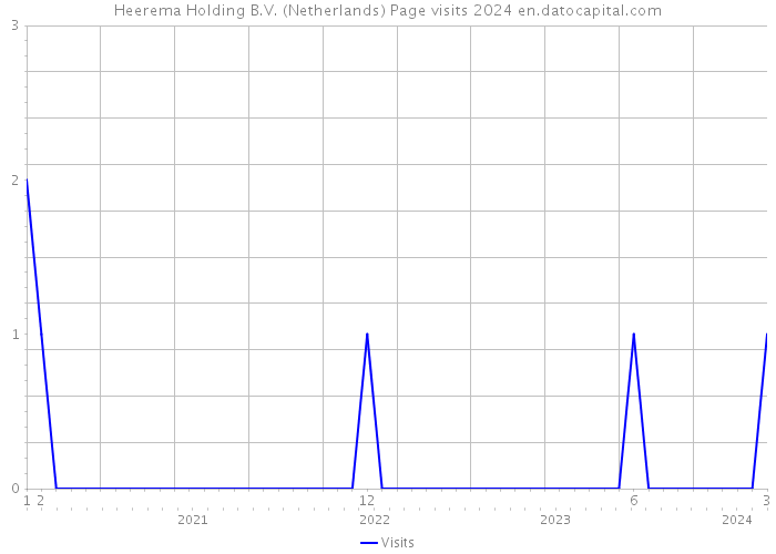 Heerema Holding B.V. (Netherlands) Page visits 2024 
