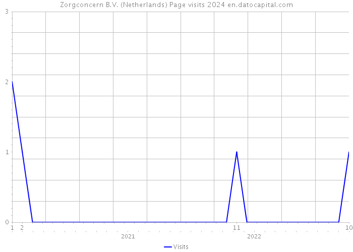 Zorgconcern B.V. (Netherlands) Page visits 2024 