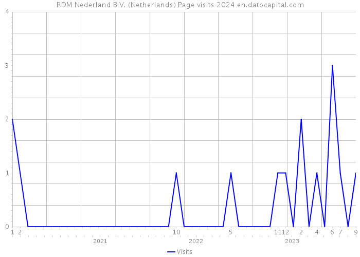 RDM Nederland B.V. (Netherlands) Page visits 2024 