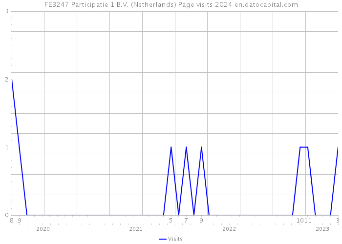 FEB247 Participatie 1 B.V. (Netherlands) Page visits 2024 