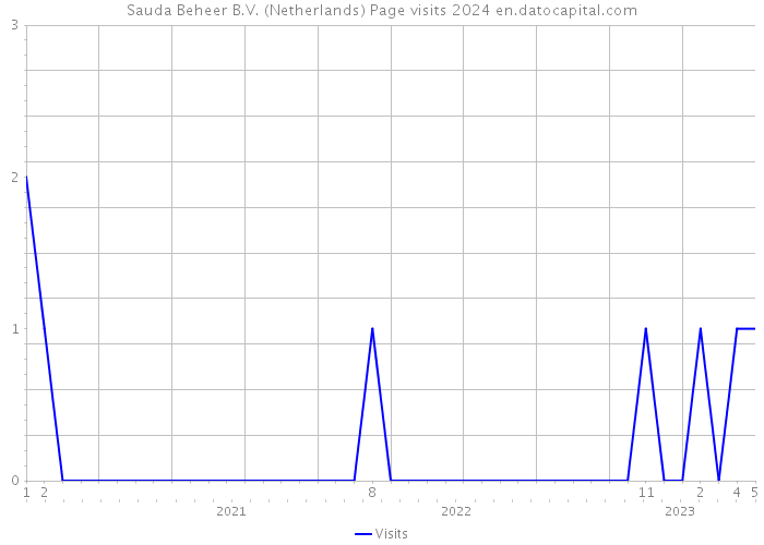 Sauda Beheer B.V. (Netherlands) Page visits 2024 