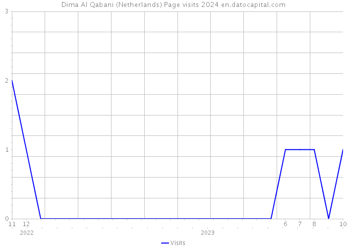 Dima Al Qabani (Netherlands) Page visits 2024 