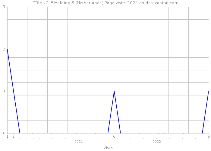 TRIANGLE Holding B (Netherlands) Page visits 2024 