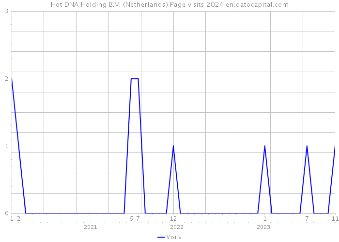 Hot DNA Holding B.V. (Netherlands) Page visits 2024 