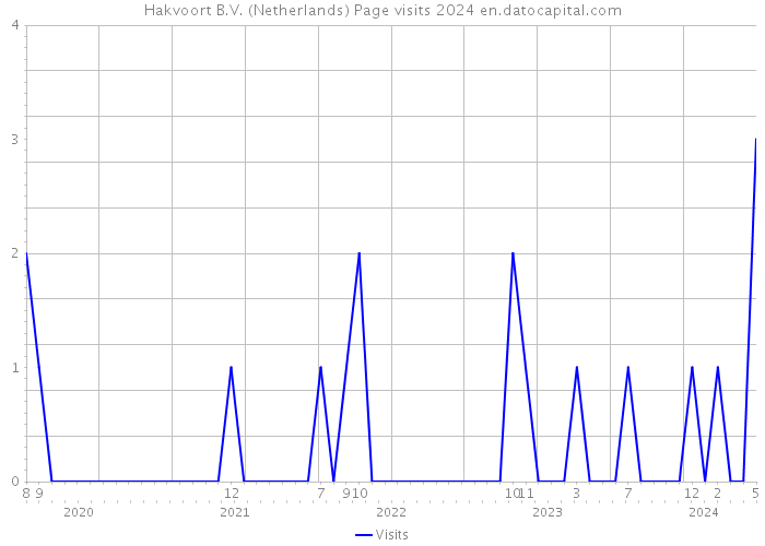 Hakvoort B.V. (Netherlands) Page visits 2024 