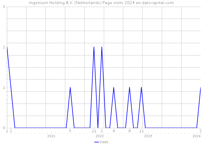 Ingenium Holding B.V. (Netherlands) Page visits 2024 