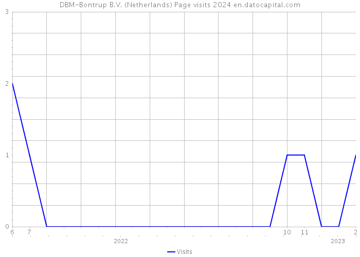 DBM-Bontrup B.V. (Netherlands) Page visits 2024 