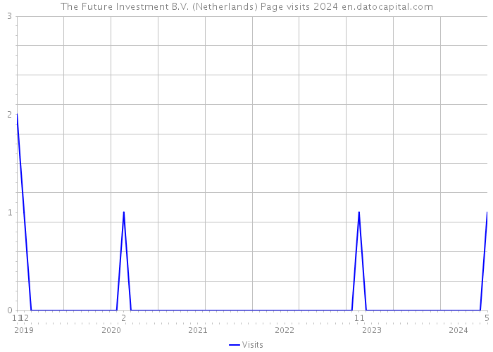 The Future Investment B.V. (Netherlands) Page visits 2024 