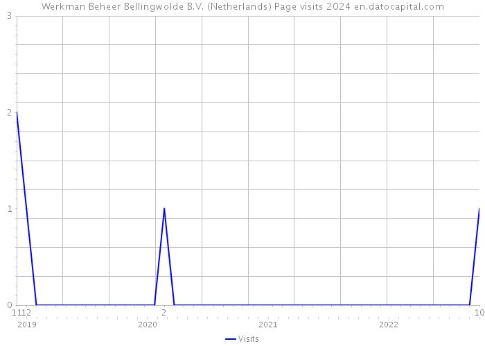 Werkman Beheer Bellingwolde B.V. (Netherlands) Page visits 2024 