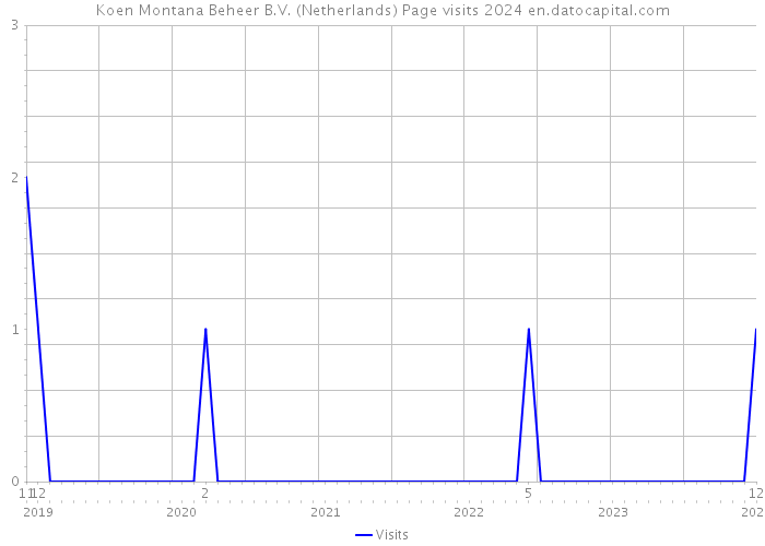 Koen Montana Beheer B.V. (Netherlands) Page visits 2024 