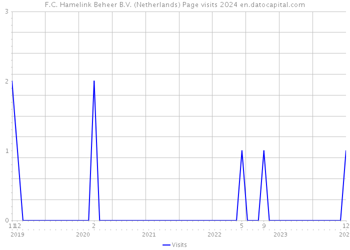F.C. Hamelink Beheer B.V. (Netherlands) Page visits 2024 
