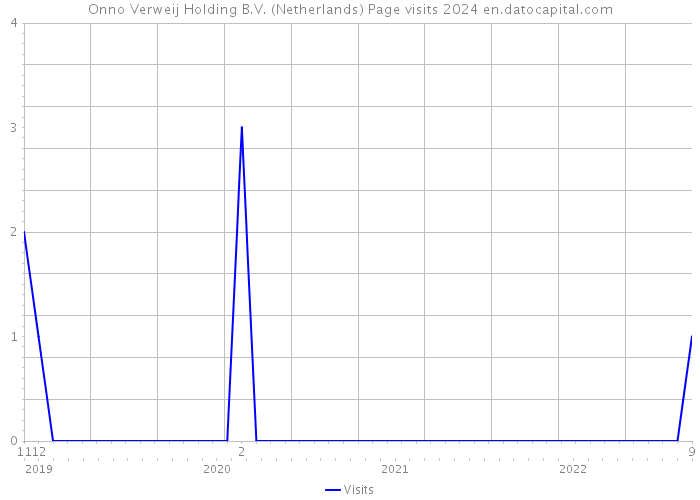 Onno Verweij Holding B.V. (Netherlands) Page visits 2024 