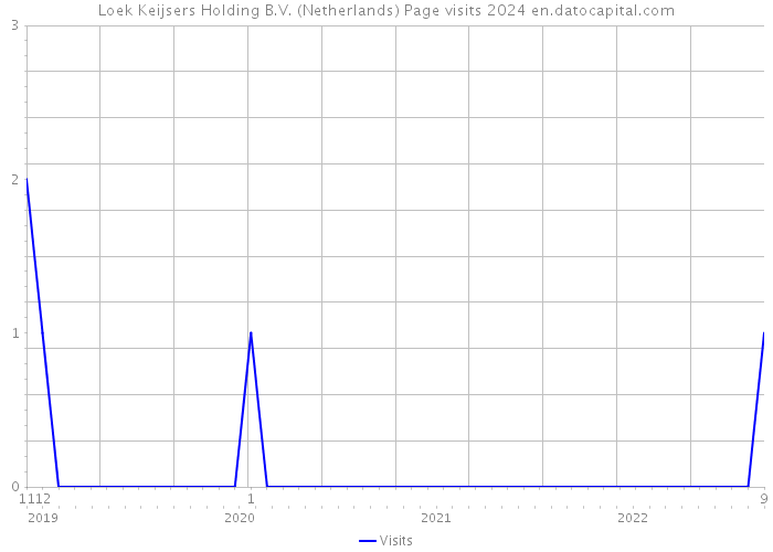 Loek Keijsers Holding B.V. (Netherlands) Page visits 2024 
