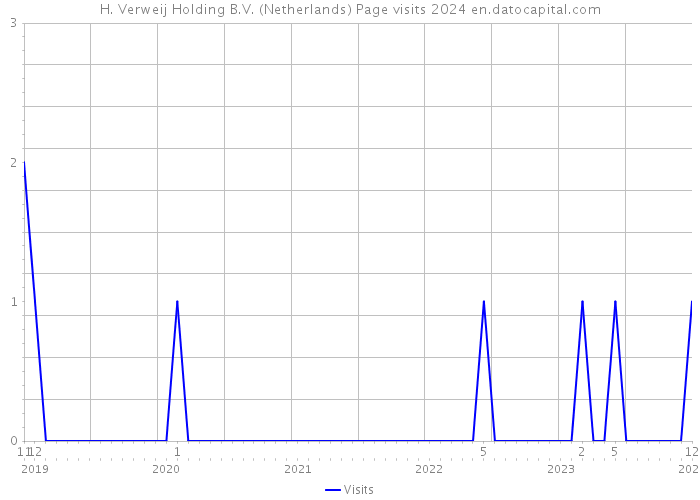 H. Verweij Holding B.V. (Netherlands) Page visits 2024 