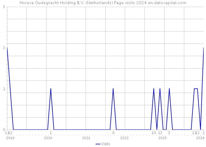 Horeca Oudegracht Holding B.V. (Netherlands) Page visits 2024 