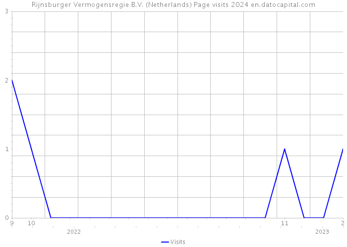 Rijnsburger Vermogensregie B.V. (Netherlands) Page visits 2024 