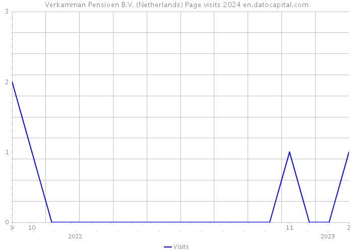 Verkamman Pensioen B.V. (Netherlands) Page visits 2024 