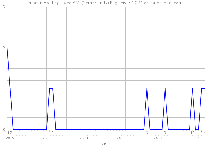 Timpaan Holding Twee B.V. (Netherlands) Page visits 2024 