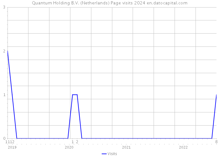 Quantum Holding B.V. (Netherlands) Page visits 2024 