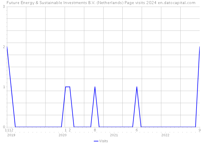 Future Energy & Sustainable Investments B.V. (Netherlands) Page visits 2024 