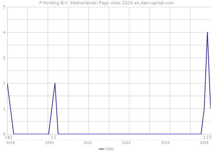 P Holding B.V. (Netherlands) Page visits 2024 