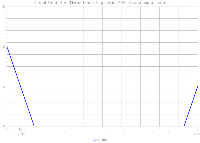 Dental Smurf B.V. (Netherlands) Page visits 2024 