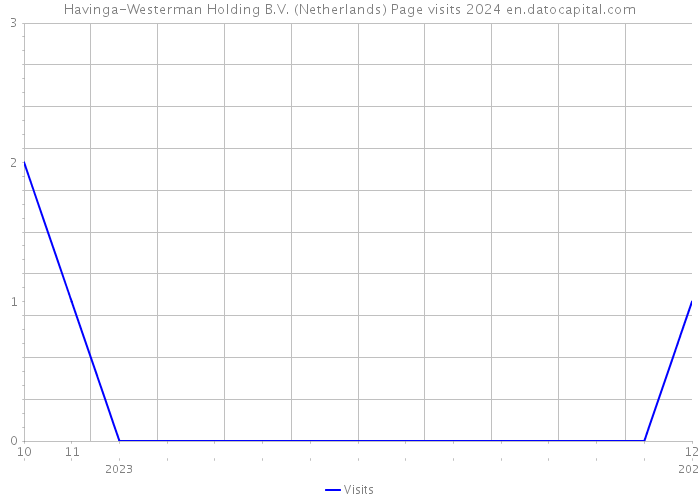 Havinga-Westerman Holding B.V. (Netherlands) Page visits 2024 