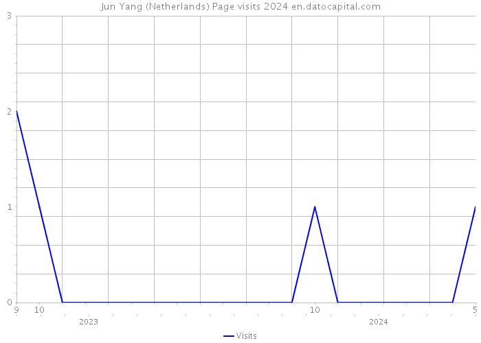 Jun Yang (Netherlands) Page visits 2024 