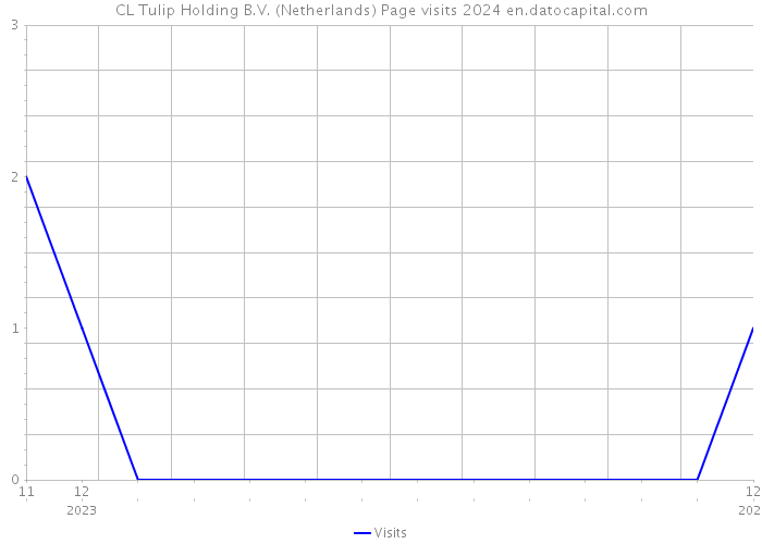 CL Tulip Holding B.V. (Netherlands) Page visits 2024 