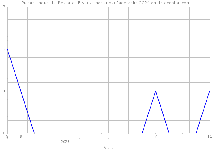 Pulsarr Industrial Research B.V. (Netherlands) Page visits 2024 