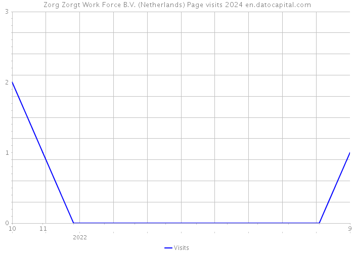 Zorg Zorgt Work Force B.V. (Netherlands) Page visits 2024 