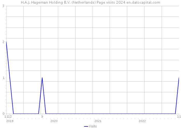 H.A.J. Hageman Holding B.V. (Netherlands) Page visits 2024 