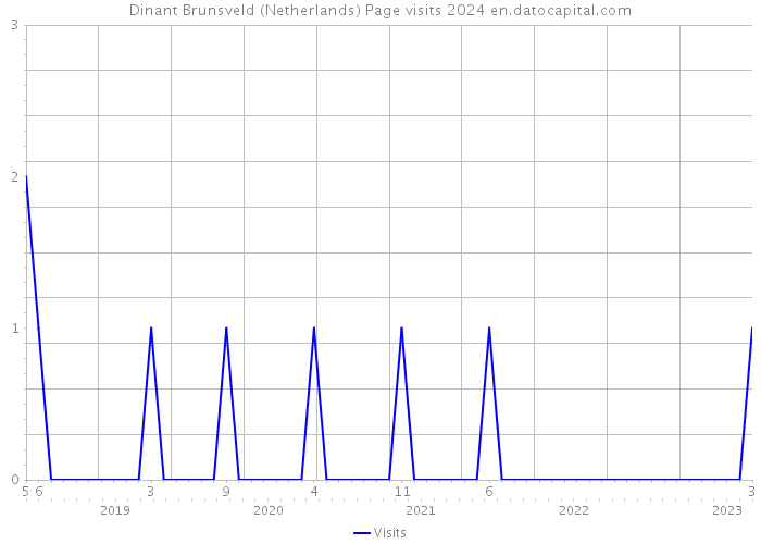 Dinant Brunsveld (Netherlands) Page visits 2024 
