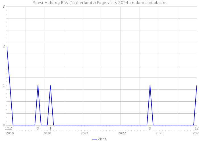 Roest Holding B.V. (Netherlands) Page visits 2024 