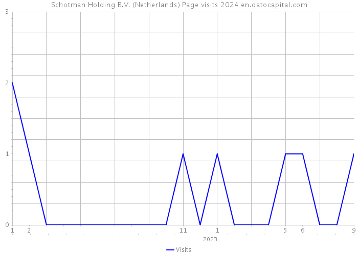 Schotman Holding B.V. (Netherlands) Page visits 2024 