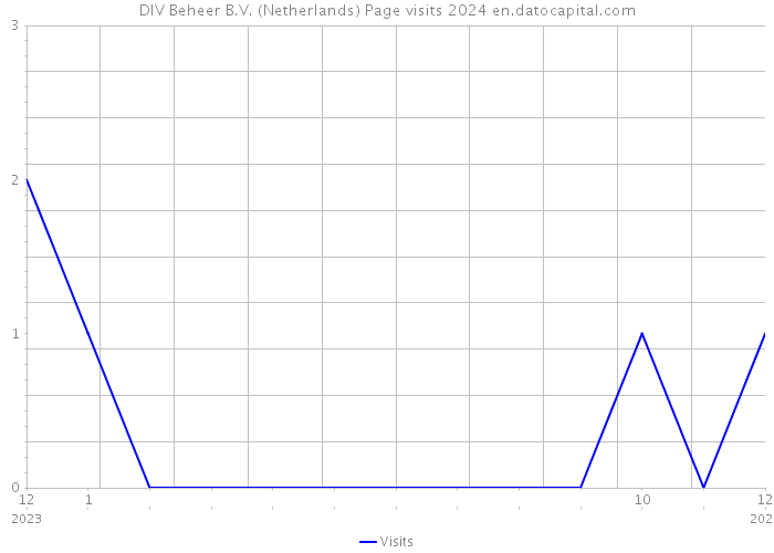 DIV Beheer B.V. (Netherlands) Page visits 2024 